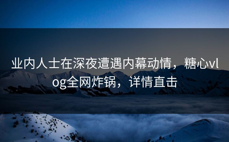业内人士在深夜遭遇内幕动情，糖心vlog全网炸锅，详情直击