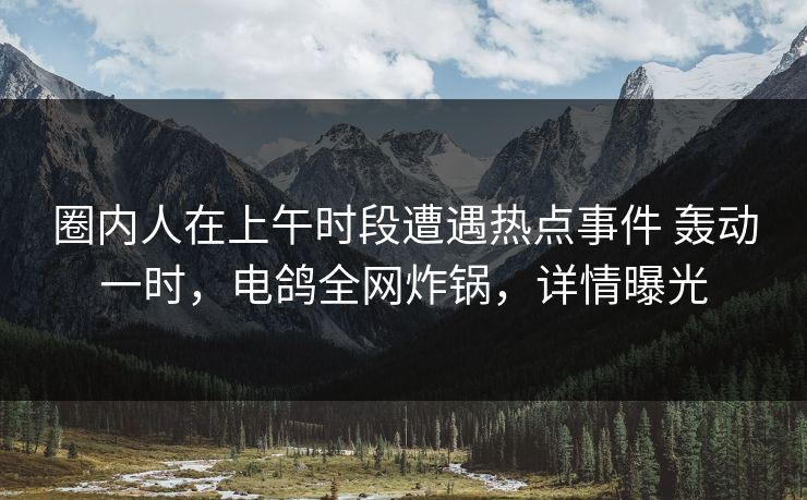 圈内人在上午时段遭遇热点事件 轰动一时，电鸽全网炸锅，详情曝光
