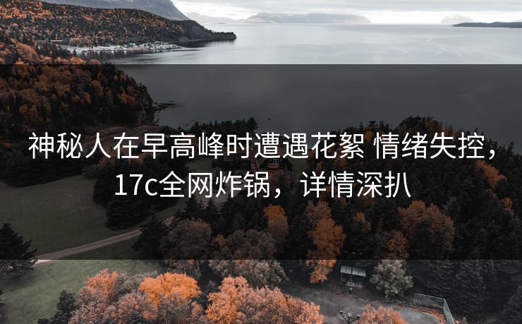 神秘人在早高峰时遭遇花絮 情绪失控，17c全网炸锅，详情深扒